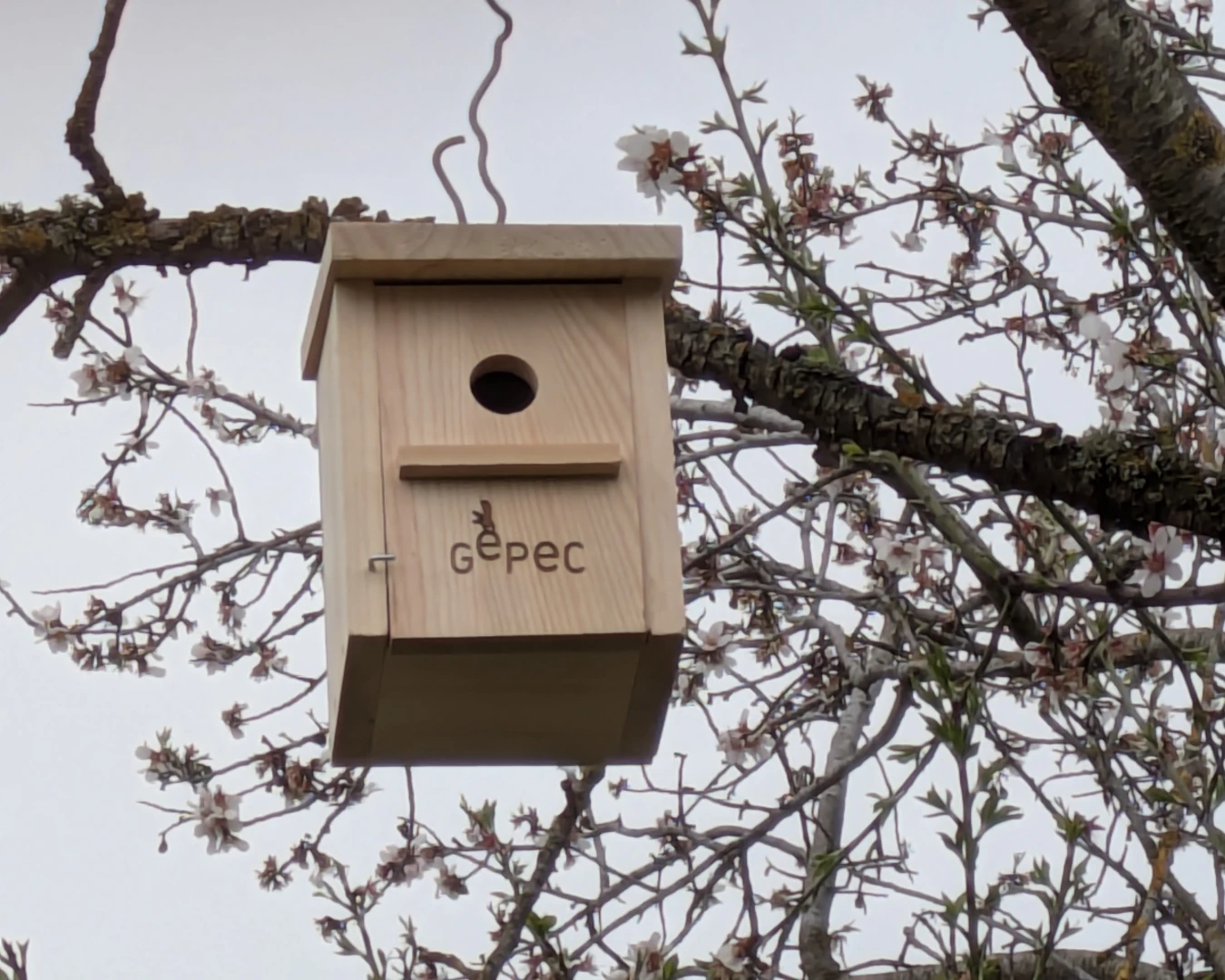 5 BIRD