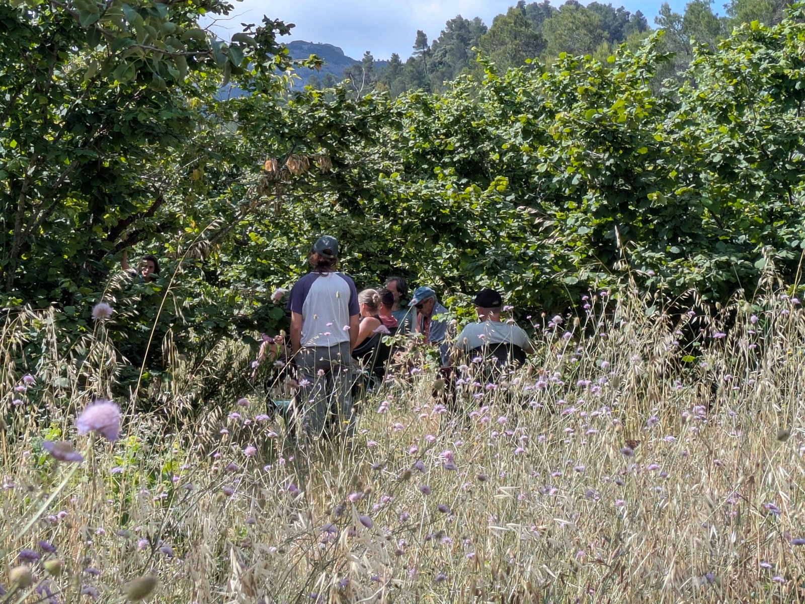 PXL_20260606_085830363